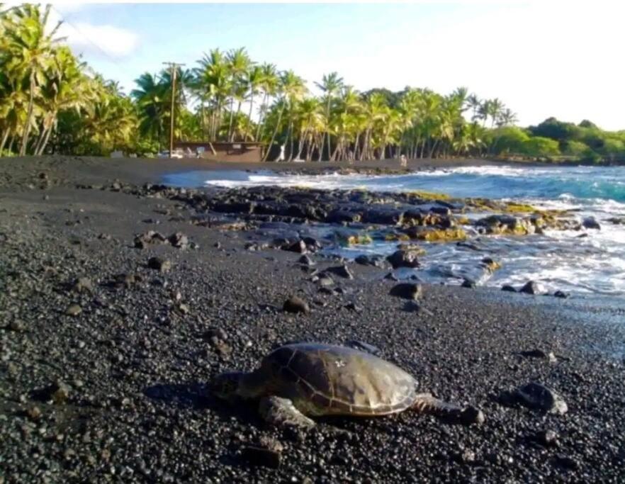 Pahoehoe- Hale Kumu La'Au At 沃尔卡诺 外观 照片