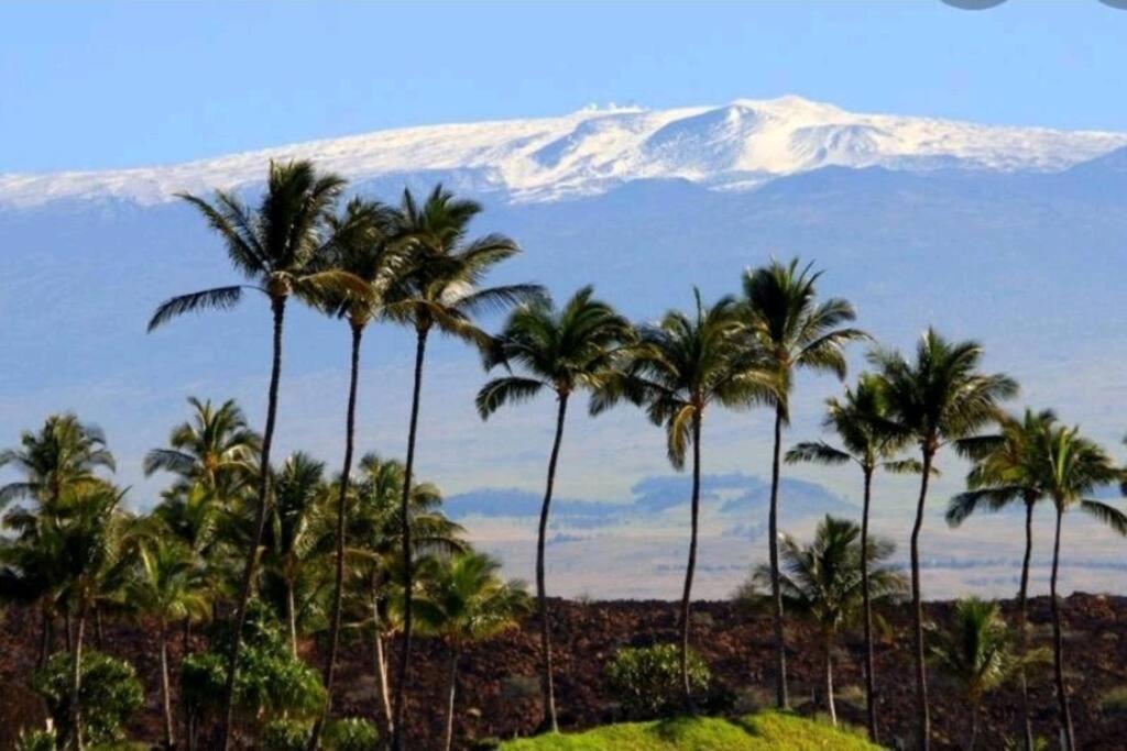 Pahoehoe- Hale Kumu La'Au At 沃尔卡诺 外观 照片